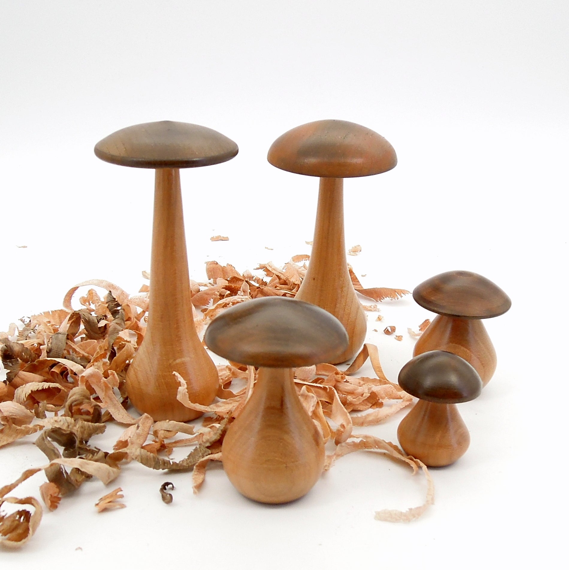 Quintet de petits champignons en bois de merisier.