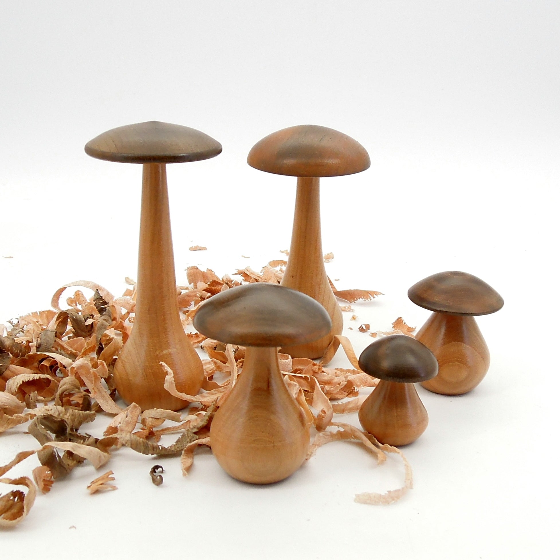 Quintet de petits champignons en bois de merisier.