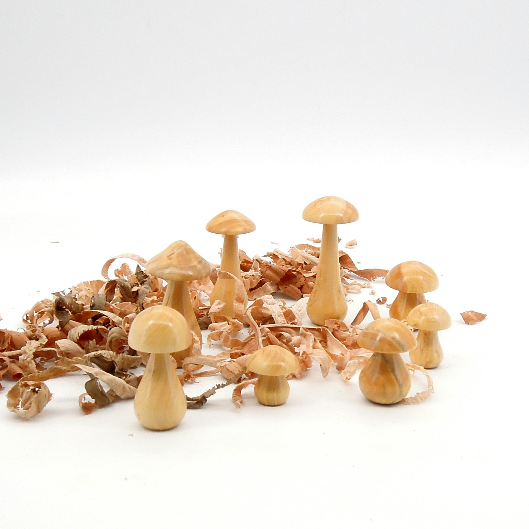 8 petits champignon en bois de buis.