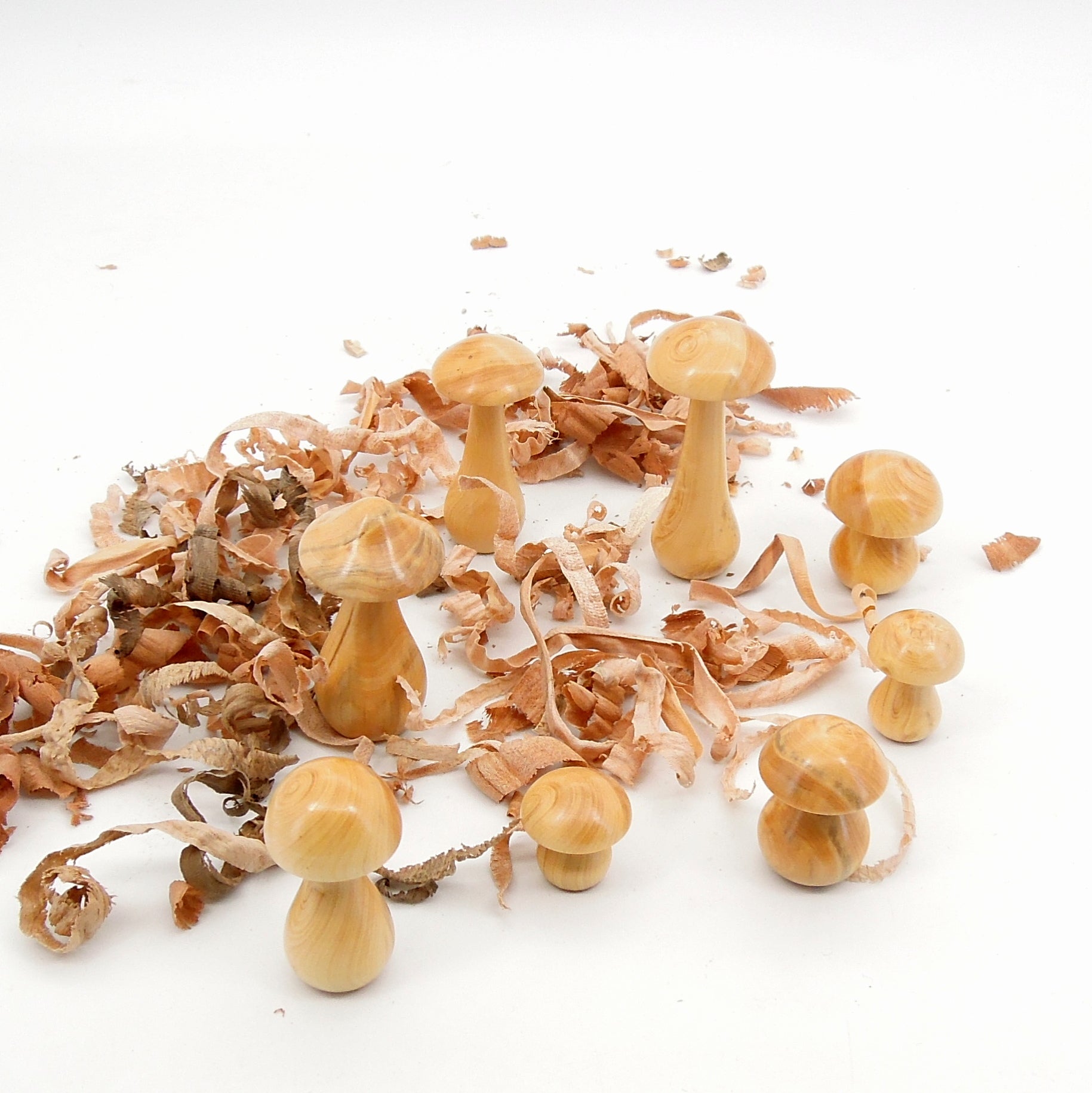 8 petits champignon en bois de buis.