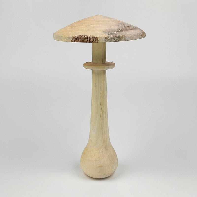 Champignon en micocoulier