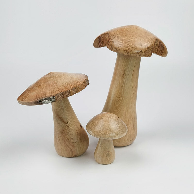 Trio de champignons en charme