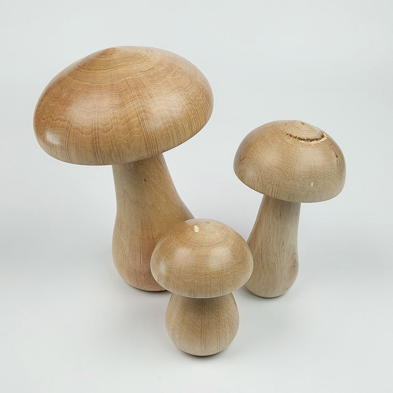 Trio de champignons en bois de charme