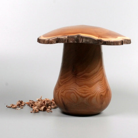 Boite en bois de robinier de Bourgogne. Boite champignon.