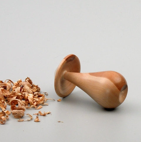 Champignon bois de cornouiller de Bourgogne. #1