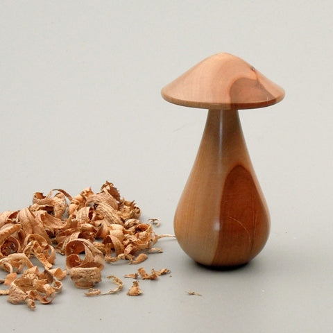 Champignon bois de cornouiller de Bourgogne. #1