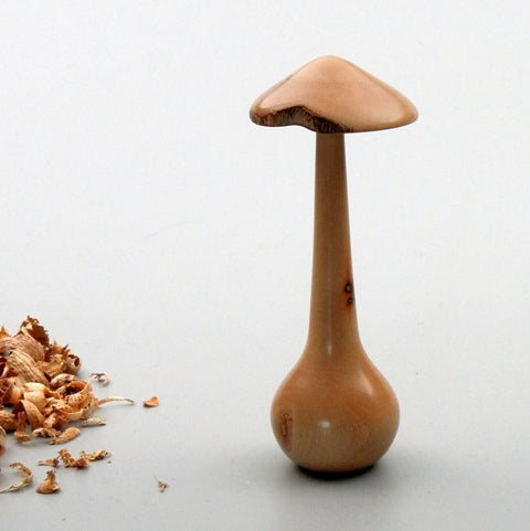 Champignon bois de cornouiller de Bourgogne. #2