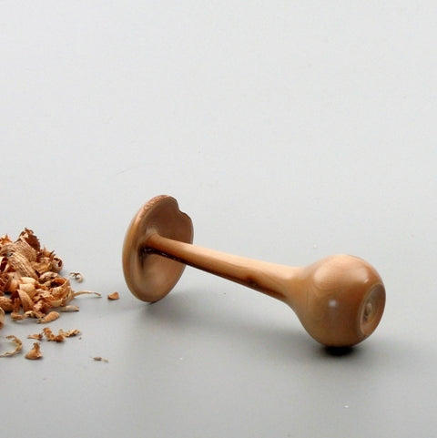 Champignon bois de cornouiller de Bourgogne. #2