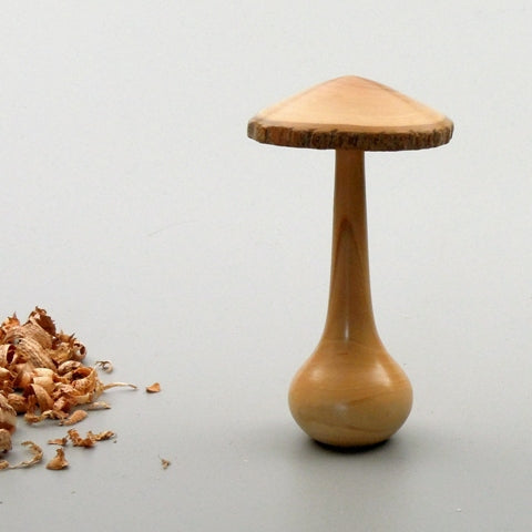 Champignon bois de lilas de Bourgogne. #1