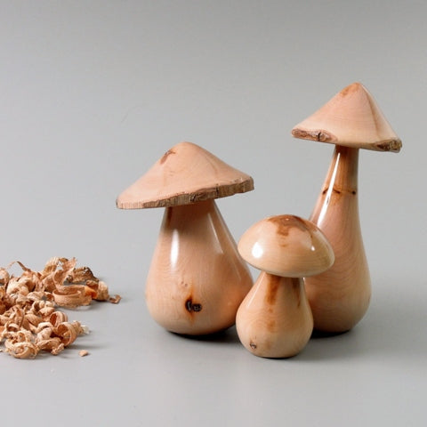 Champignon en bois de cornouiller de Bourgogne. #3