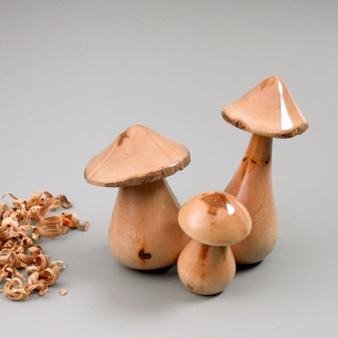 Champignon en bois de cornouiller de Bourgogne. #3