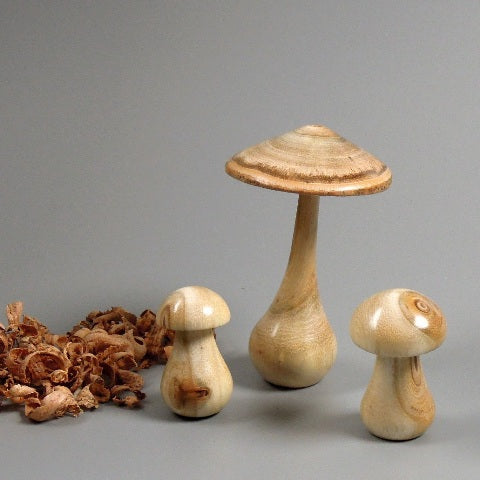 Champigons en bois... d’affouage. #1