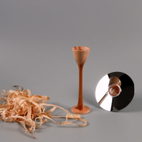 Toupie Disque Dur HS et bois de cornouiller #1