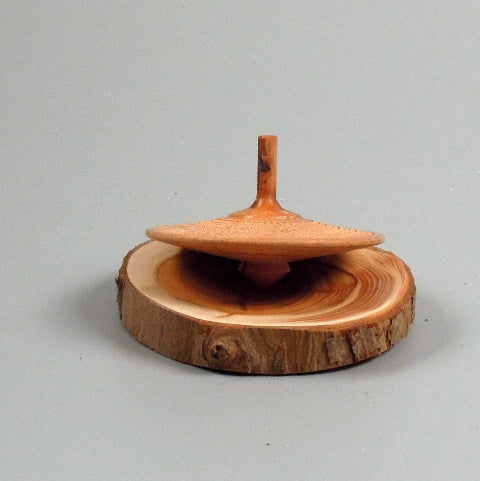 Toupie en bois de prunier de Bourgogne. #6