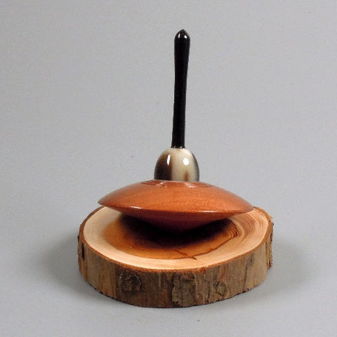 Toupie en bois de prunier de Bourgogne corne et corne de