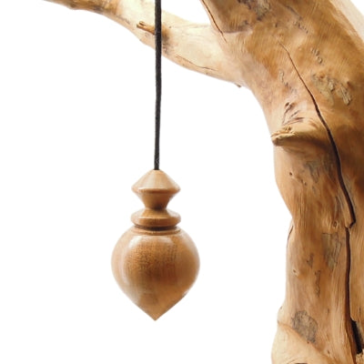 Pendule artisanal de radiesthésie en prunier avec cordon collé