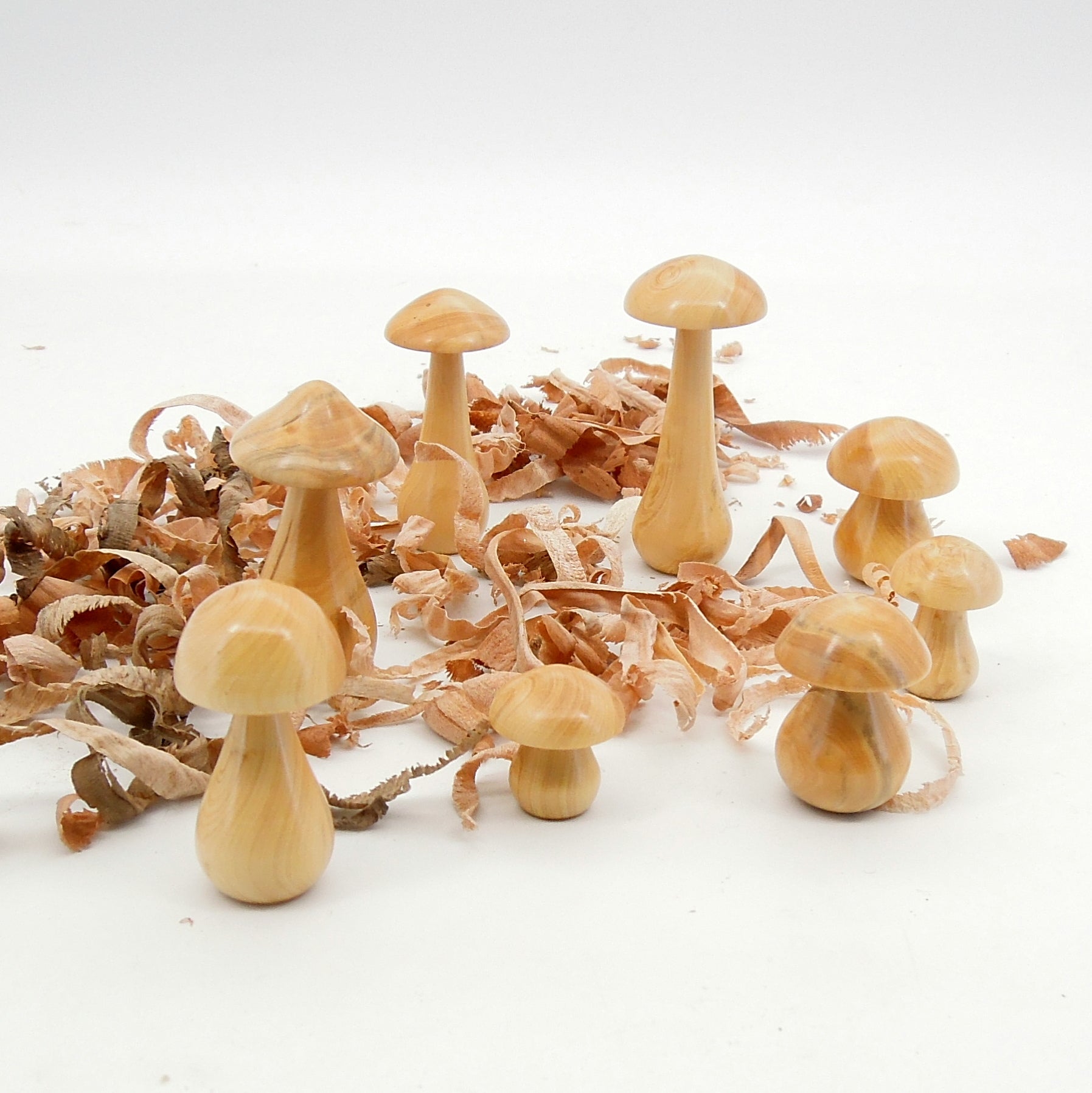8 petits champignon en bois de buis.