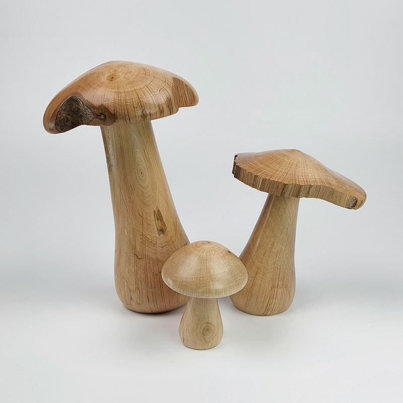 Trio de champignons en charme