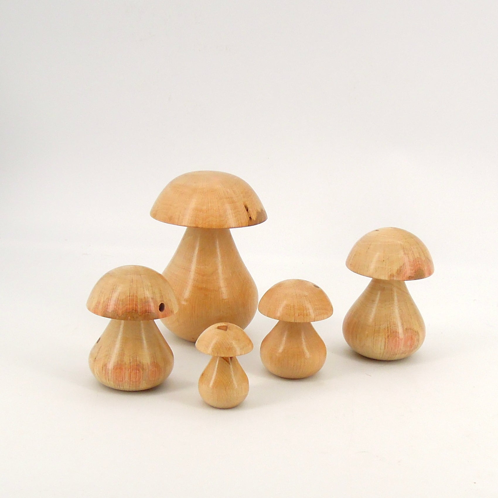 Quintet de champignons en bois de charme